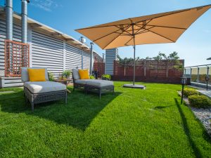 Árnyék és fény egy csepeli tetőkertben