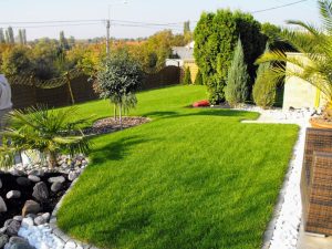 Gyepszőnyegezés után